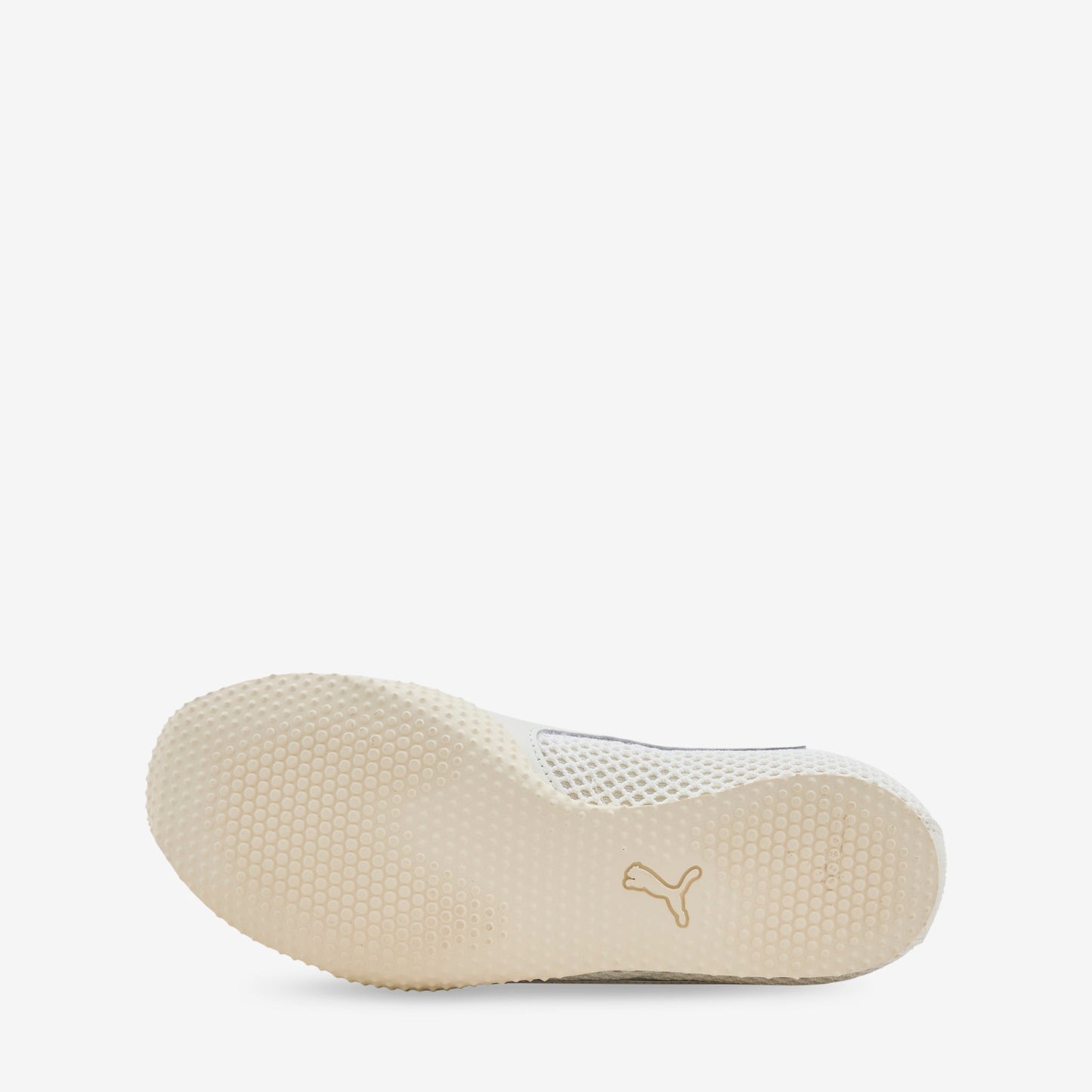 Guizio x H-Street Warm White